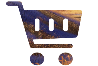 e-com image