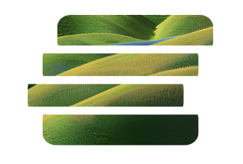 payment-solutions image